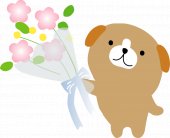 わんちゃんの画像